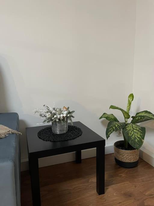 Apartament La Casa Timişoara Eksteriør billede